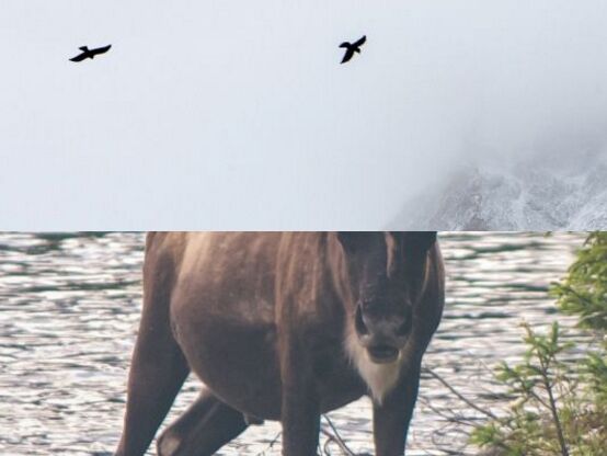 Fixed-position Parallax Scroll Effect With Pure CSS