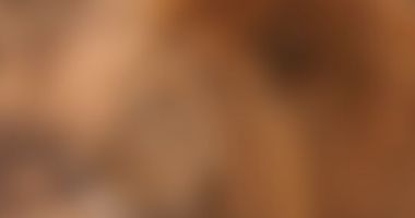 progressive-image-loading-pure-css