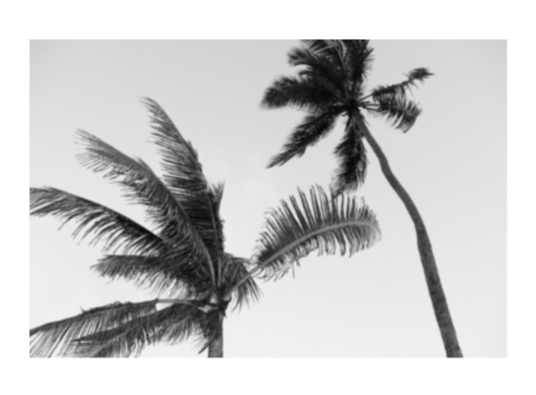 JavaScript Library For Intelligent Zoom Experience – Image Zoom