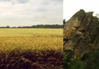 automatic-image-slider-pure-css-css3