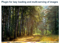 javascript-library-for-lazy-loading-and-multi-serving-of-images
