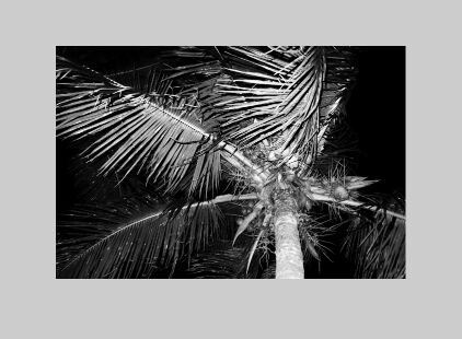 Medium-like Image Zoom In Pure JavaScript – zoom.js