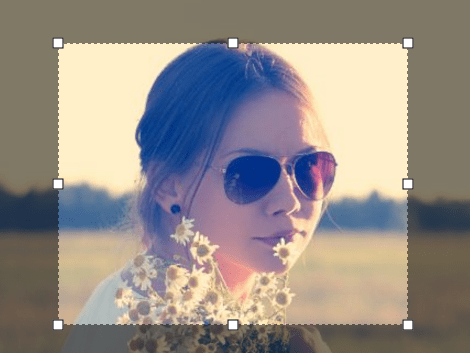 Tiny Native JavaScript Image Cropper – Croppr.js