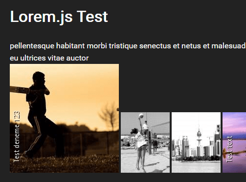 Lorem Text And Placeholder Image Generator In Pure JavaScript – Lorem.js