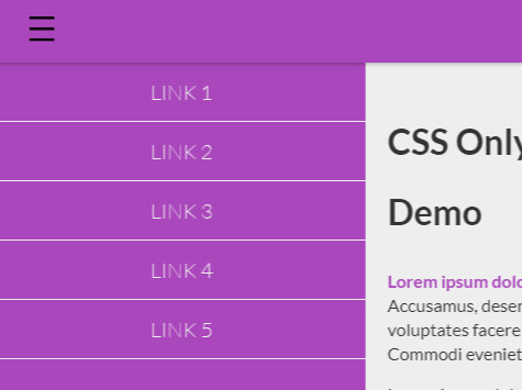 CSS Only Mobile Push Menu