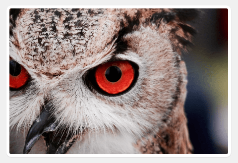Responsive Crossfading Slideshow In Pure JavaScript – Tinyfade.js