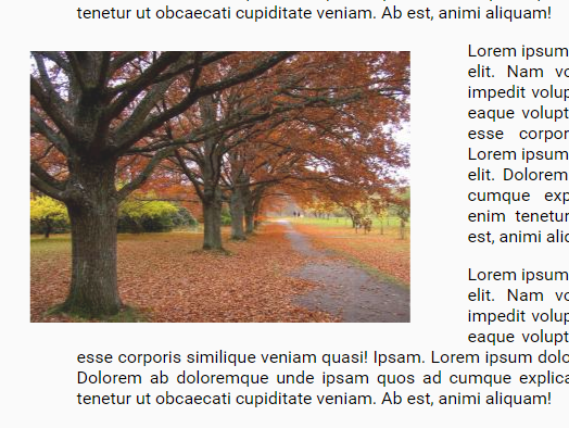 Animate Elements On Scroll Using Animate.css