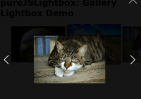 pureJSLightbox