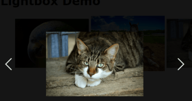 pureJSLightbox