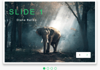 Slider Pure JS