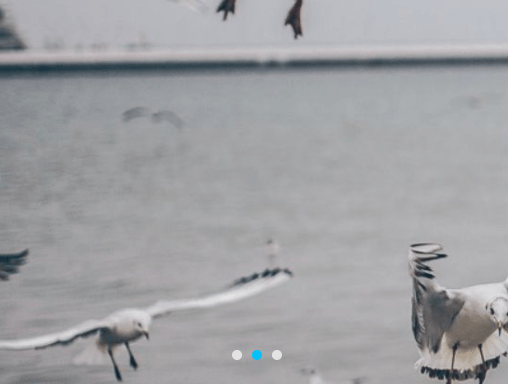 Mobile-friendly Photo Slider In Pure JavaScript – gallery.js
