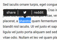selection-popup