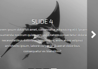 Responsive Image Carousel In Vanilla JavaScript