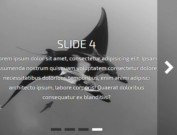 Responsive Image Carousel In Vanilla JavaScript