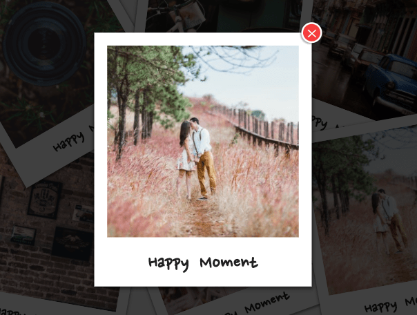 Responsive Polaroid Gallery With Lightbox Integration – Vintalight.js