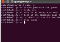 shell.js