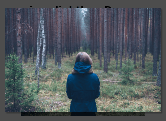 Minimal Responsive Image Lightbox In Pure JavaScript