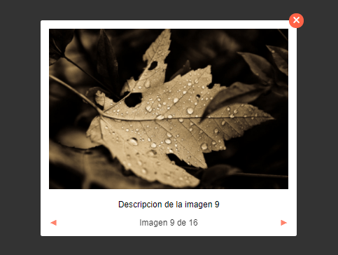 Minimal Lightbox Gallery In Pure JavaScript