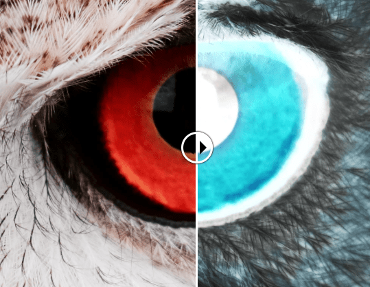 Compare Two Layered Images With A Slider – Scrub Slider