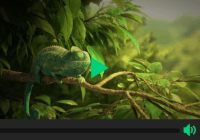 Beautiful HTML5 Video Player In Pure JavaScript - Ckin-Video-Player