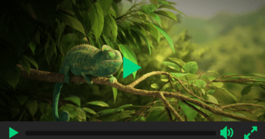Beautiful HTML5 Video Player In Pure JavaScript - Ckin-Video-Player