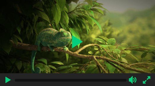 Beautiful HTML5 Video Player In Pure JavaScript – Ckin-Video-Player