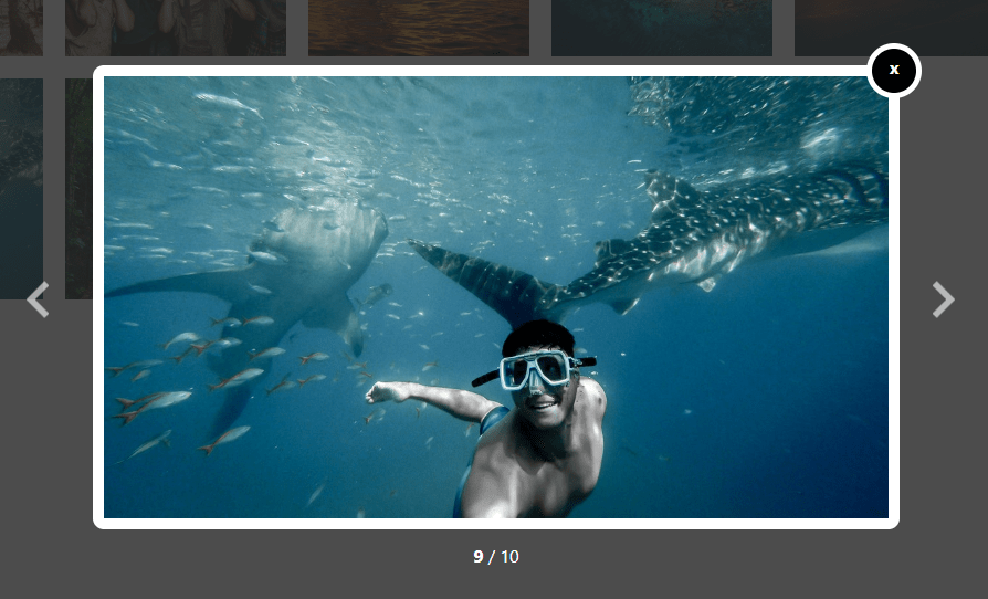 Beautiful Image Gallery Lightbox In Vanilla JS – Gallery Box