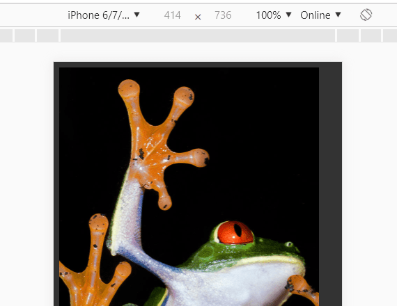 Image Zoomer For Moible – pinchzoom