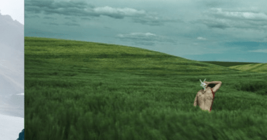 Automatic Card Carousel In Vanilla JavaScript - vanilla-img-slideshow