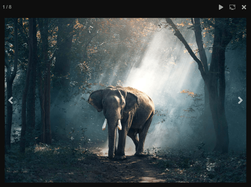Elegant Image Gallery/Slider/Carousel Library – LGallery
