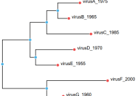 Phylogenetic Tree Library For Browser And Node.js - figtree.js