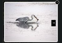 Elegant Image Lightbox Gallery In Vanilla JavaScript - kbox.js