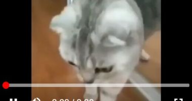 Interactive HTML5 Video Player In Vanilla JavaScript - ivid
