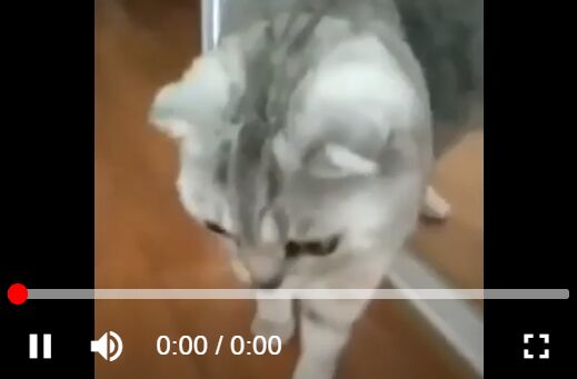 Interactive HTML5 Video Player In Vanilla JavaScript – ivid