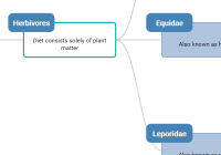 Visualize Hierarchical Tree Structures Using D3.js - d3-mitch-tree