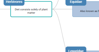 Visualize Hierarchical Tree Structures Using D3.js - d3-mitch-tree