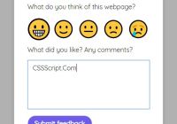 Custom Feedback Widget In JavaScript - Feeedback