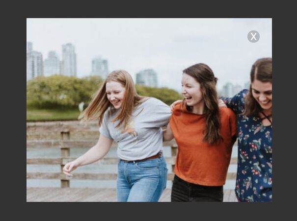 Lightweight Responsive Image Lightbox In JavaScript – snoLightbox