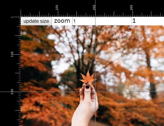Photoshop-like Ruler Using JavaScript And SVG - Rulez.js | CSS Script