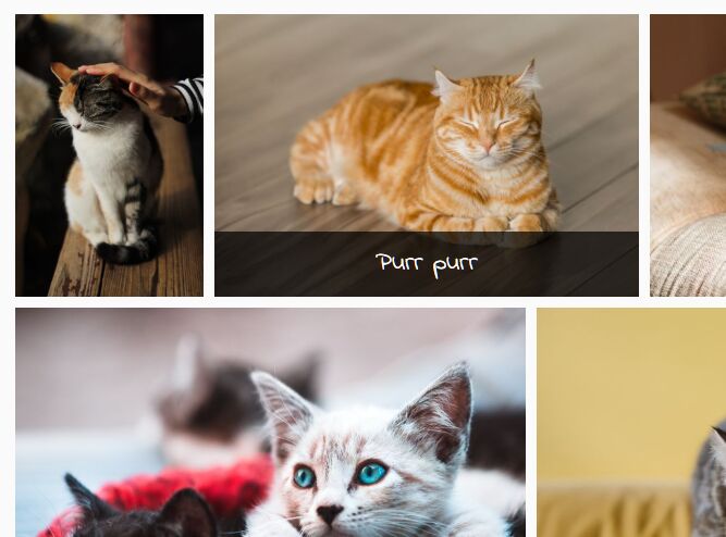 Responsive Justified Photo Gallery In JavaScript – flow-gallery