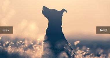 Touch-enabled Image Carousel Slider In Pure JavaScript - ysSlider.js