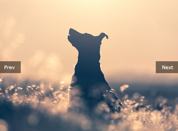 Touch-enabled Image Carousel Slider In Pure JavaScript – ysSlider.js