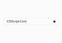 Password Visibility Toggler In Vanilla JavaScript