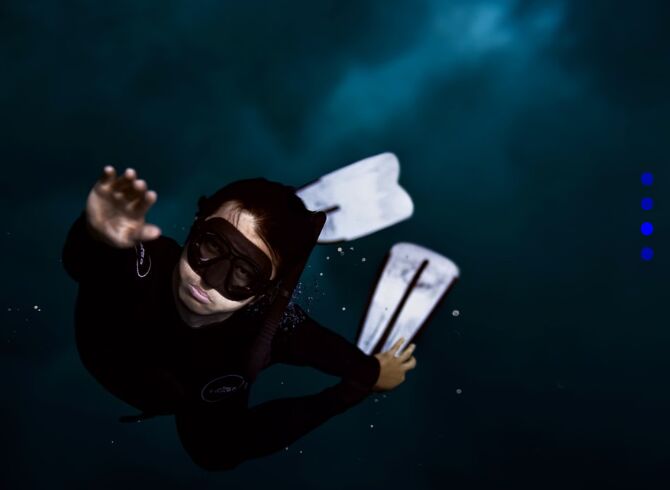 Vertical One Page Scroller In Vanilla JavaScript