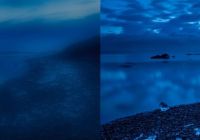 Progressive Image Lazy Loading Library - with-preview
