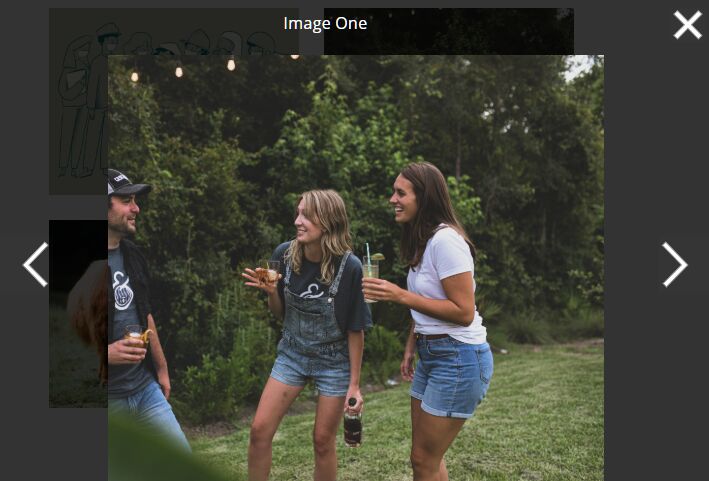 Tiny Image & Video Image Gallery Lightbox In JavaScript – Bilderrahmen