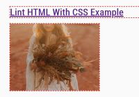 Lint HTML Code With CSS