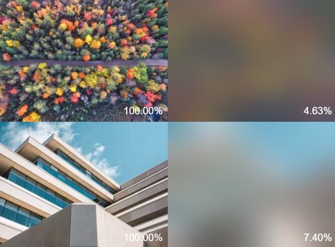 Create Performant Low Quality Image Placeholders – lqip-modern
