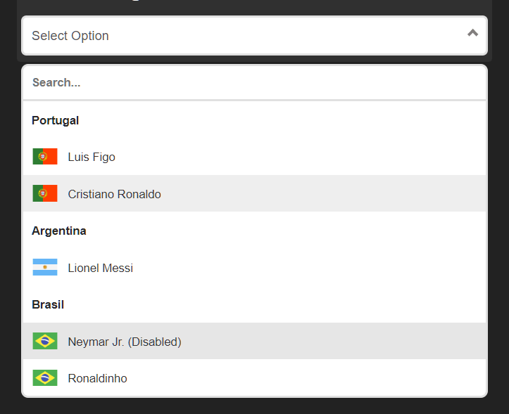 Custom Dropdown Select Box In Vanilla JavaScript – bvselect
