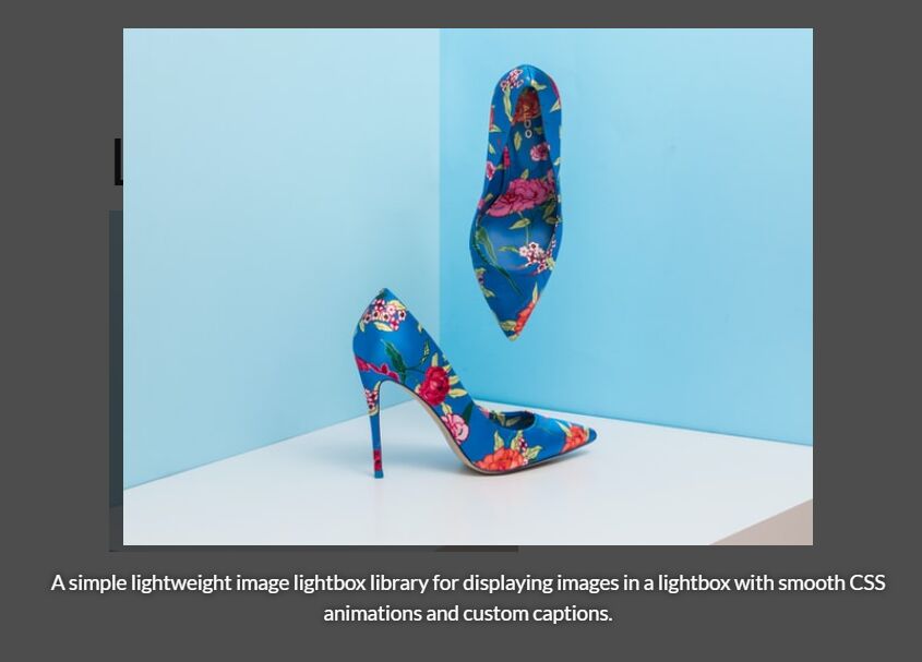 Easy Image Lightbox With CSS Animations – Lumos